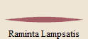 Raminta Lampsatis