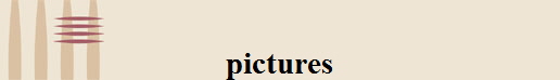 pictures